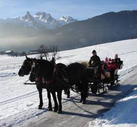 Hotel Gasthof Ledererwirt в Абтенау