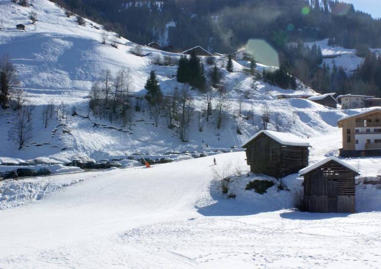 Sportapart Garni Mallaun  3* Австрия, Зее