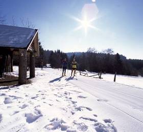 Haus zur Sonne Sauerland  в Халленберге