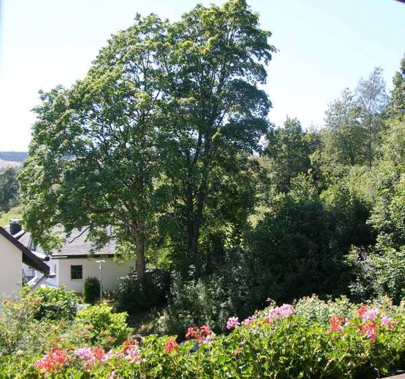 Pension Haus Waldfrieden  3* Германия, Виллинген