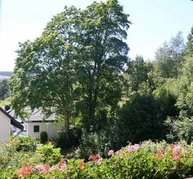 Pension Haus Waldfrieden  в Виллингене