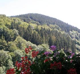 Отдых в Pension Haus Waldfrieden  - Германия, Виллинген