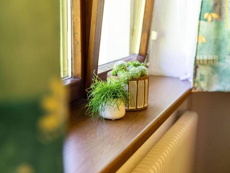 Apartment Dankl Muhlbach 