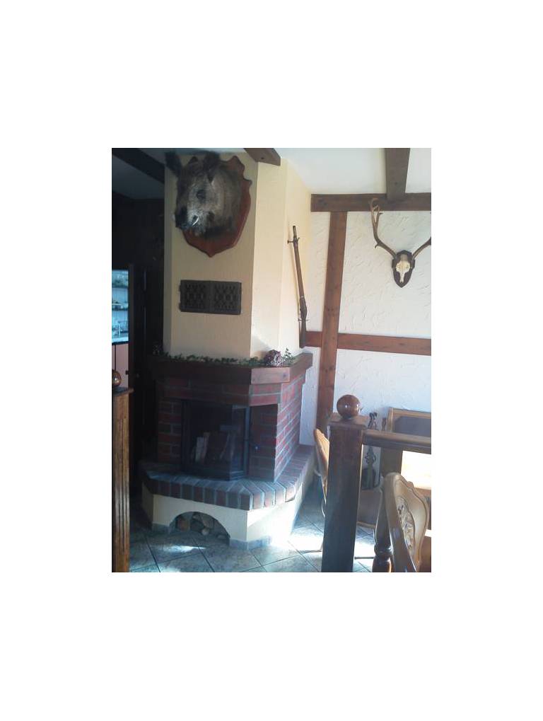 Pension Goldener Hirsch 
