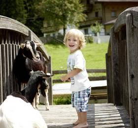 Отдых в Familienhotel Grundlhof - Австрия, Брамберг-ам-Вильдкогель