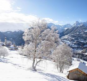 Туры в Appartements Tanafreida Montafon в Австрии
