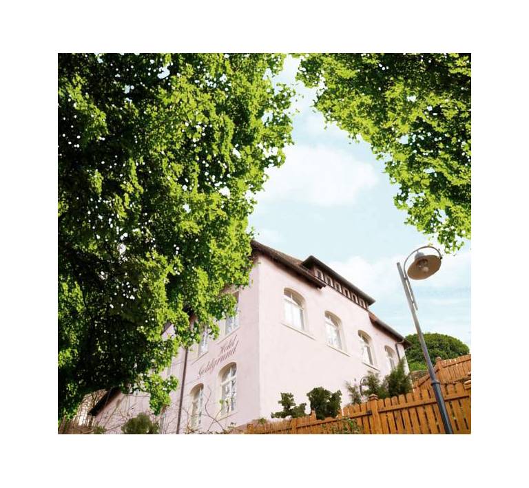 Hotel Goldgrund Meissen