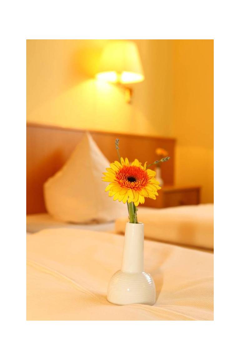 Hotelpension zum Gockl 