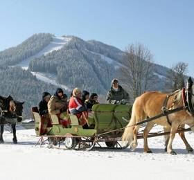 Туры в Bio-Holzhaus und Landhaus Heimat в Австрии