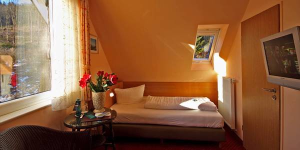 Waldhotel Schinkenwirt 3* Германия, Ольсберг