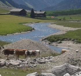 Туры в Alpenresidenz-Sonnwend в Австрии