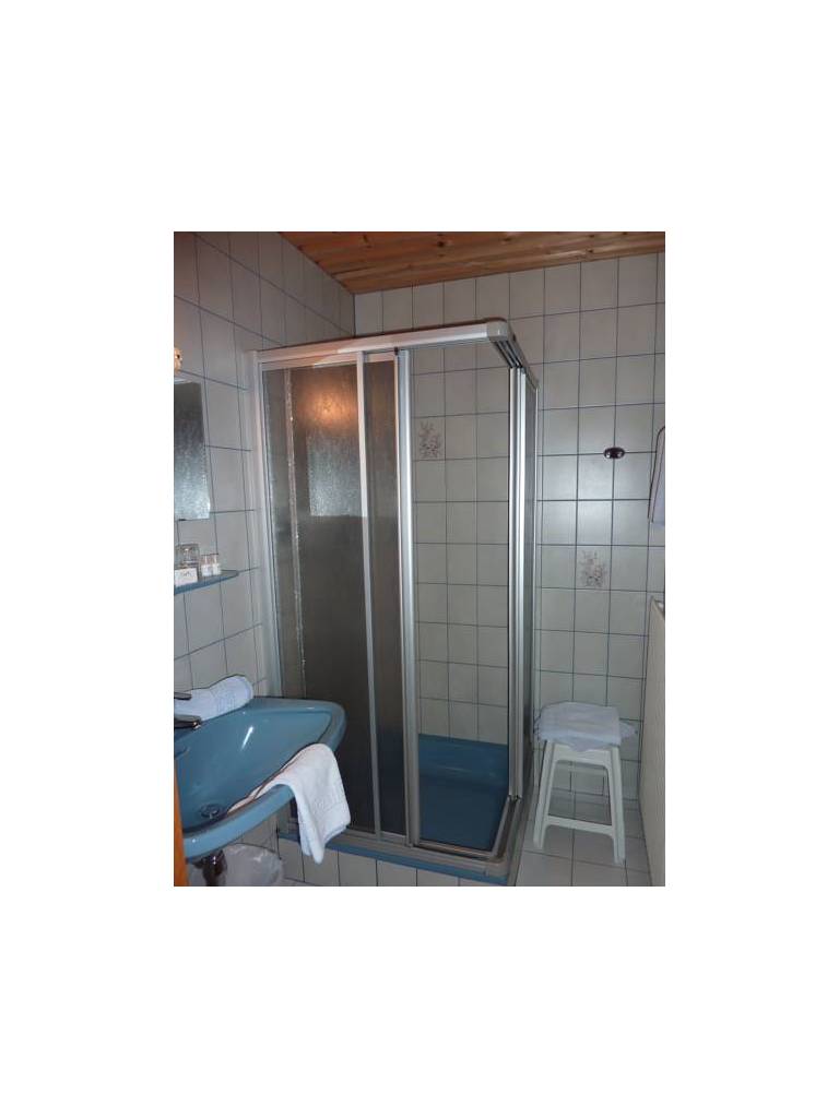 Alpenhotel Badmeister