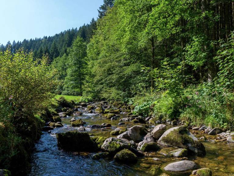 Urlaub im Schwarzwald 