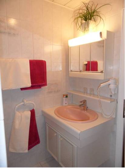 Appartement Elke Fasl  Австрия, Гозау