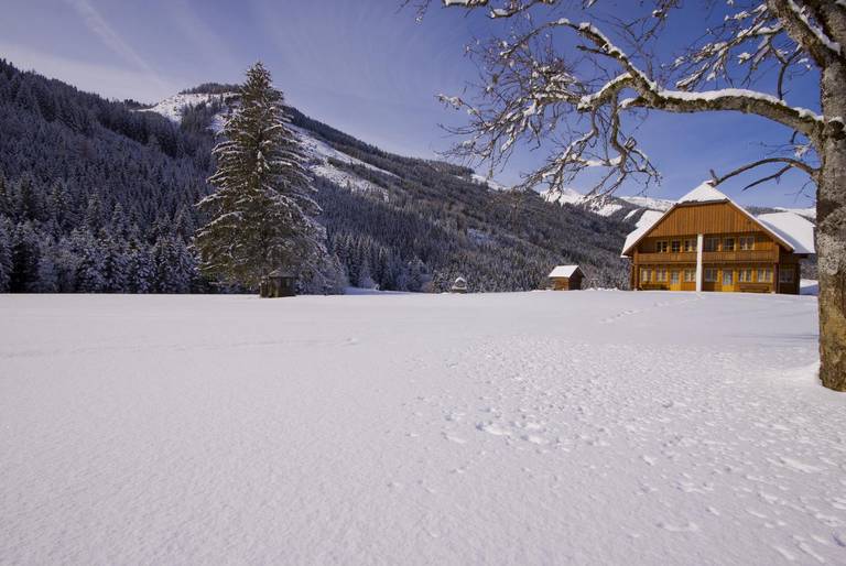 Appartements Zettler 