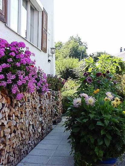 Ferienwohnungen King  3* Германия, Оберсдорф