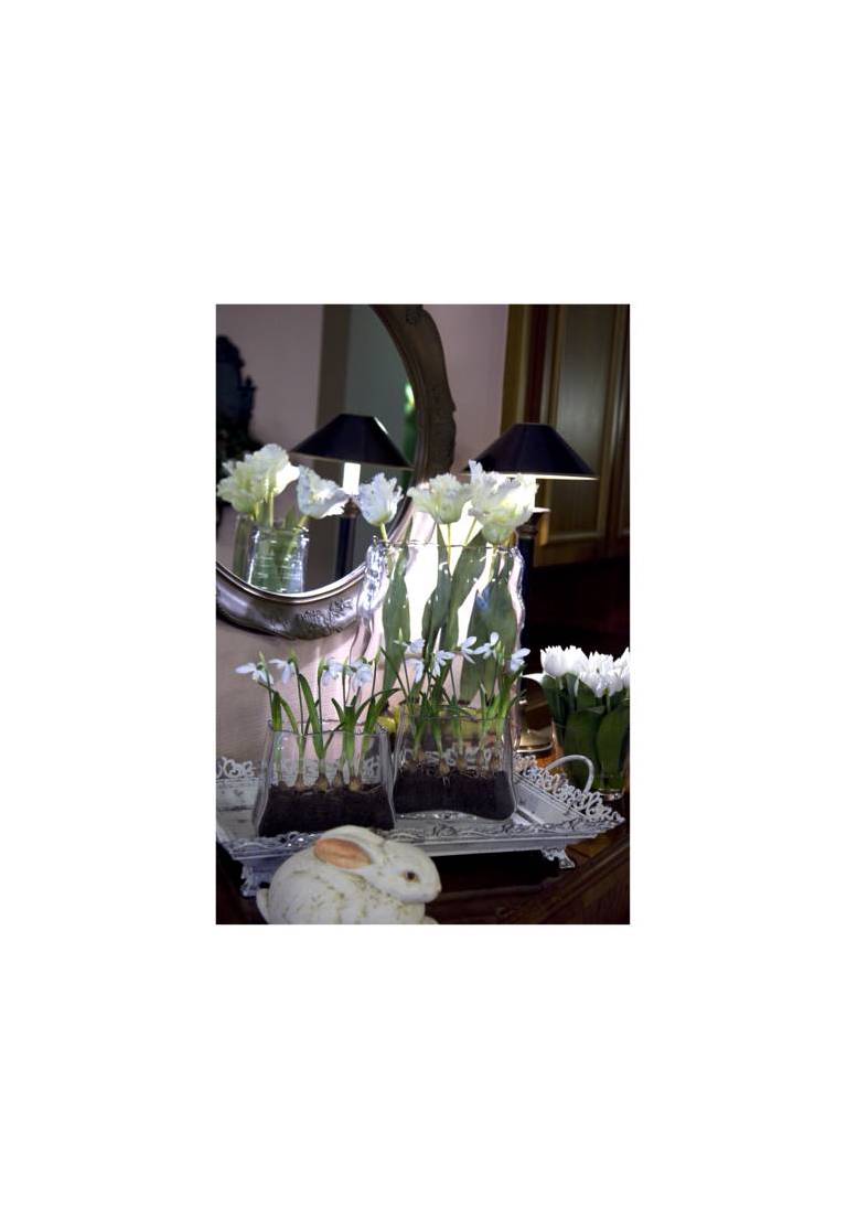 Hotel garni Bellevue