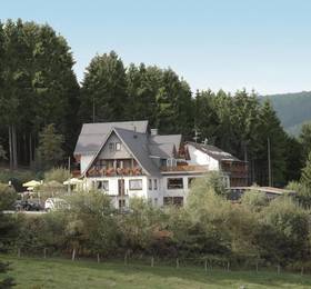 Отдых в Wald Hotel Willingen - Германия, Виллинген
