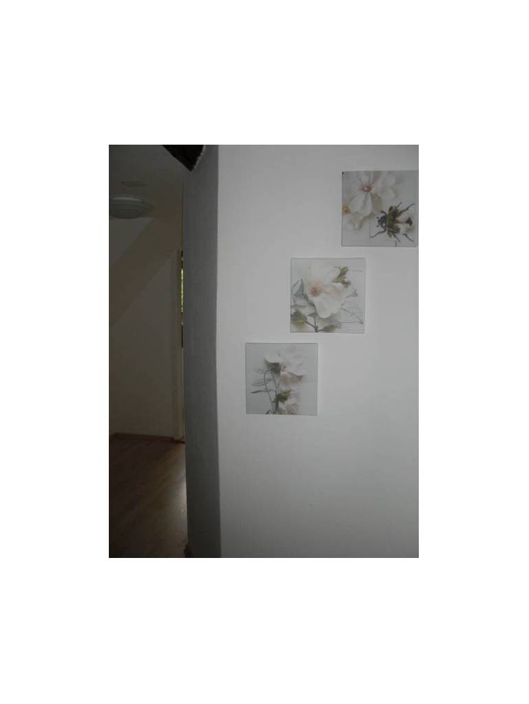 Ferienwohnung Misita 
