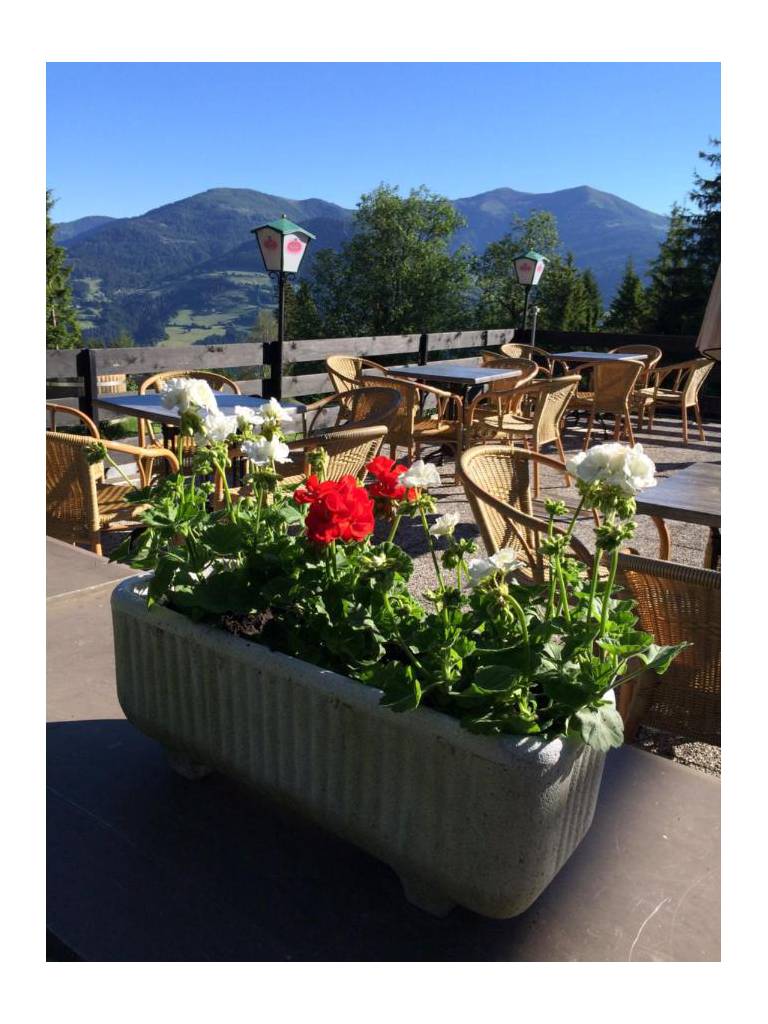 Blue Mountain Hotel 