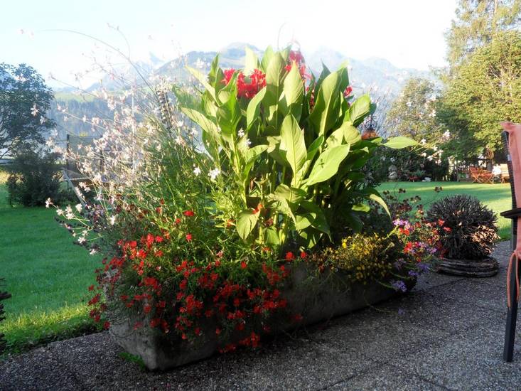Sportpension Thayer 3* Австрия, Пизендорф
