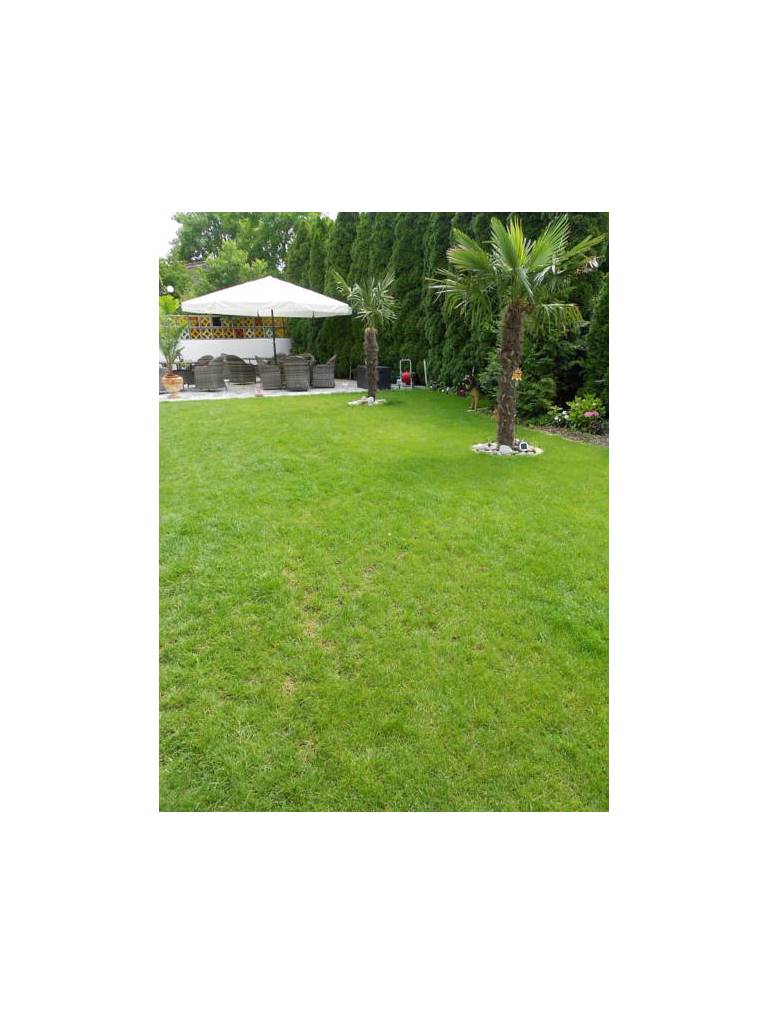 Aach Bodensee Motel 