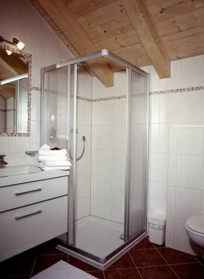 Apart Hotel Sonnhof  4* Австрия, Ладис