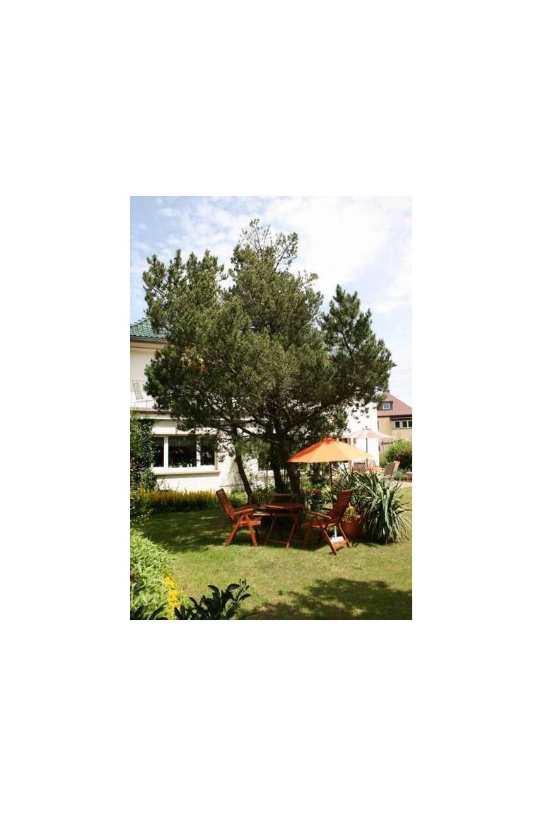 Hotel Melanie garni 