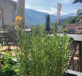 Туры в Hotel Hochzillertal в Австрии