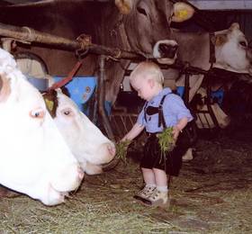 Ferienhof Rinnergut в Хинтерстодере