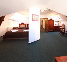 Туры в Hotel Zlaty Kohout  в Чехии