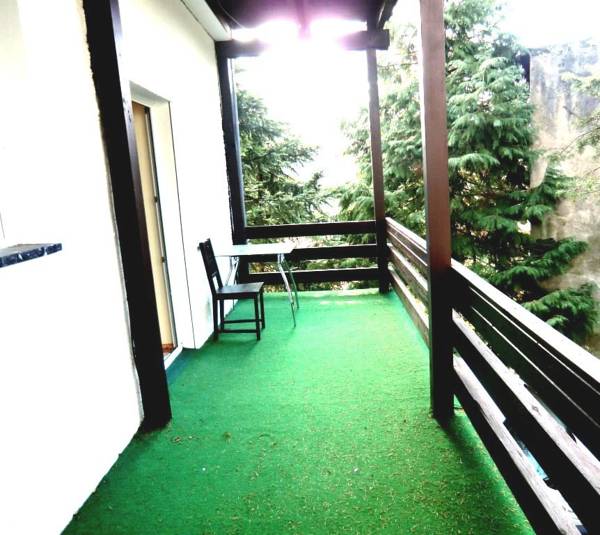 Apartment Iwanczuk  Германия, Баден-Баден