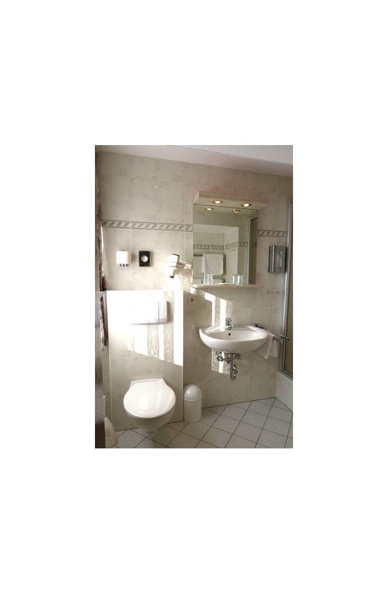 Hotel zum Schwanen 