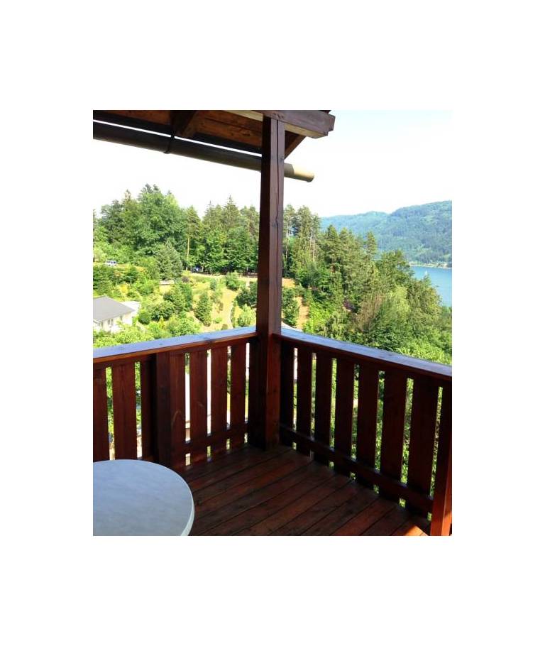 Panoramablickhotel 