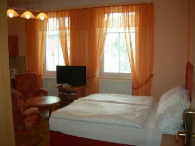 Penzion Green Star  3* Чехия, Усти-над-Лабем