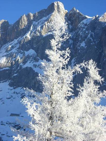 Gasthof Hunerkogel  Австрия, Рамзау-ам Дахштайн