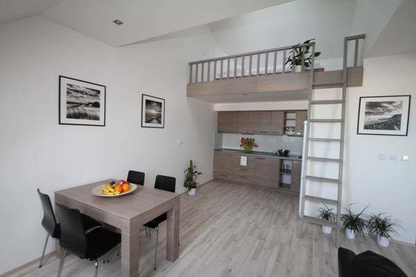 Boromeum Residence, Hradec Kralove 3* Чехия, Градец Кралове