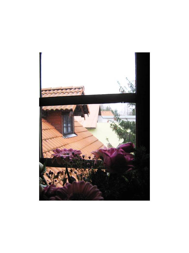 Apartment Belec 39 