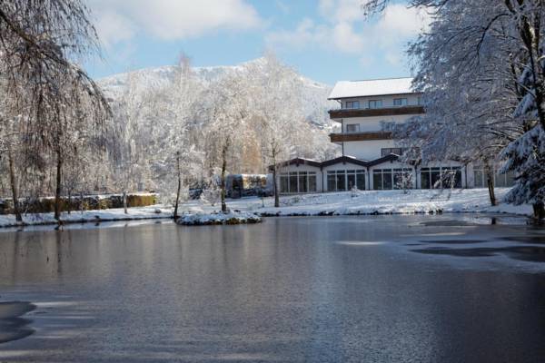 Hotel zum Hirschen 3* Германия, Лам
