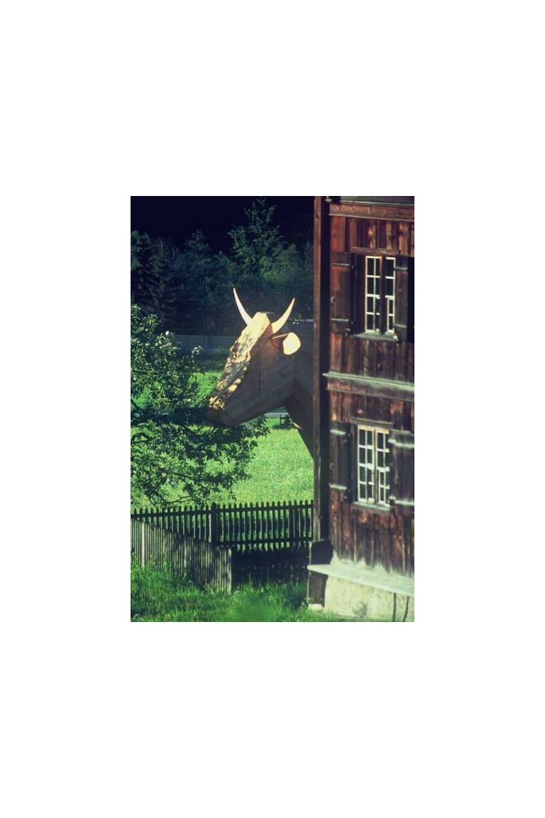 Bauernhof Gantner 