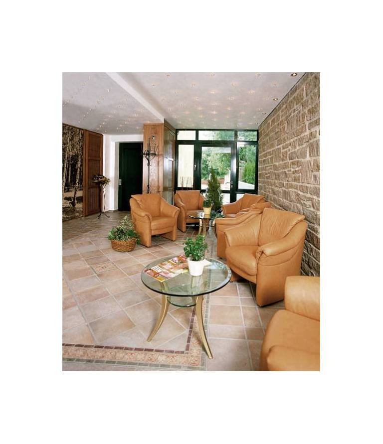 Hotel Haus Birken 