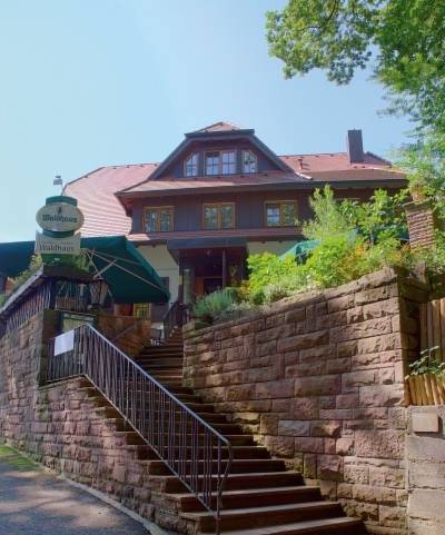 Gasthaus Waldhaus  Германия, Вальдкирх