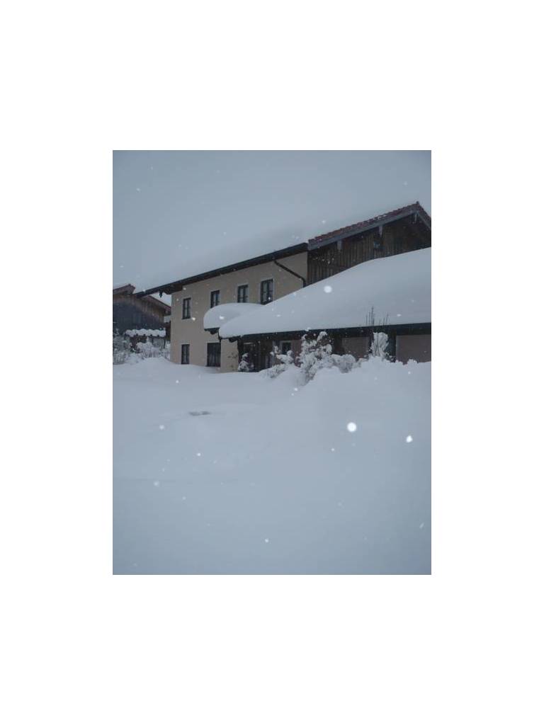 Appartment Andrea 