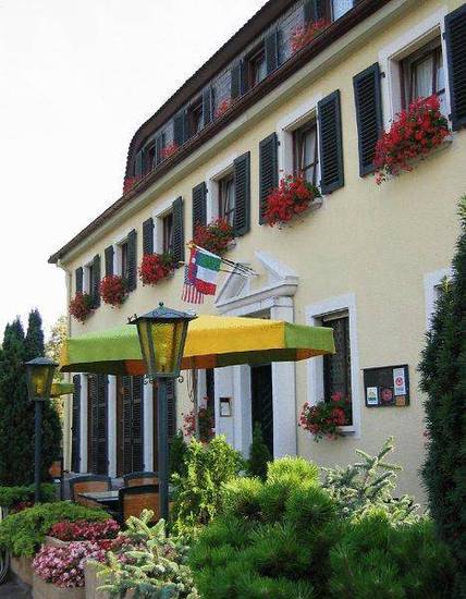 Rheinhotel Luxhof  Германия, Хоккенхайм