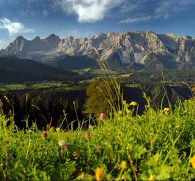 Туры в Ferienhaus Ramsau в Австрии