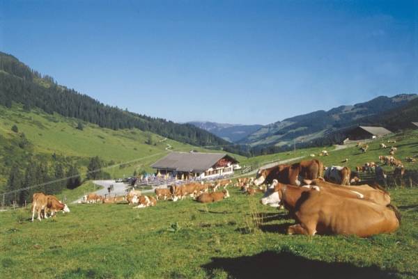 Simmerlwirt Hotel 3* Австрия, Нидерау