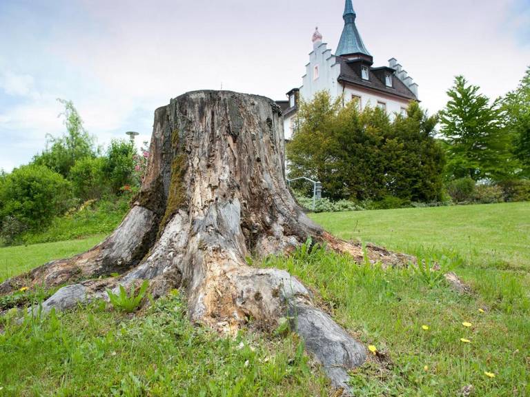 Hotel Magnetberg 