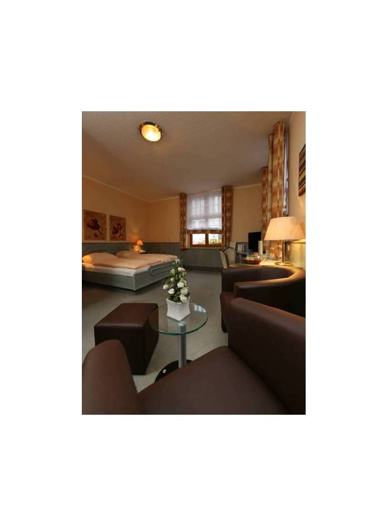 Parkhotel Plauen 