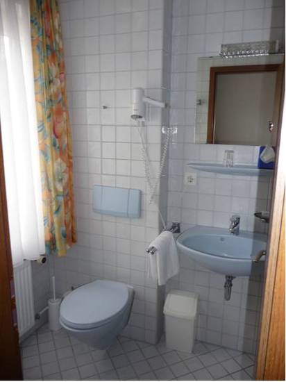 Hotel zum Schiff  3* Германия, Раштатт