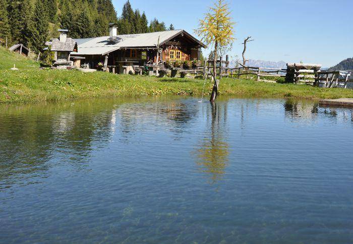 Landhaus Rosner Австрия, Дорфгаштайн